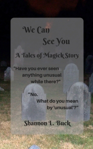 We Can See You ebook cover 2